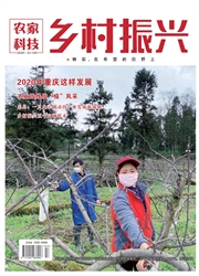 《农家科技：乡村振兴》