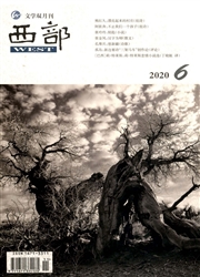 《西部：新文学（上）》