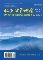 《化工矿产地质》