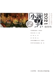《小说林》