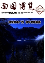 《南国博览》