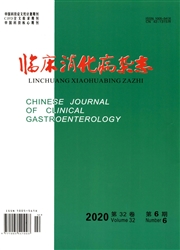 《临床消化病杂志》