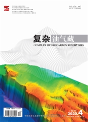《复杂油气藏》