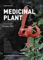 《药用植物研究：英文版》