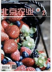 《北京农业：下旬刊》