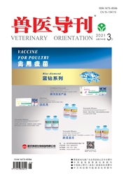 《兽医导刊》
