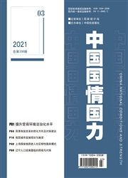 《中国国情国力》