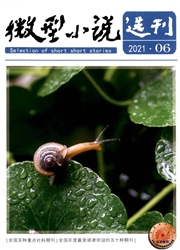 《微型小说选刊》