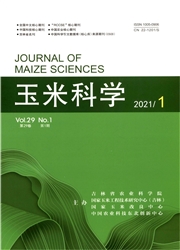 《玉米科学》