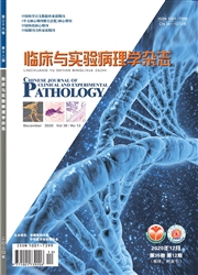 《临床与实验病理学杂志》