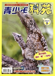 《青少年科苑》