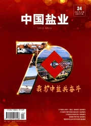 《中国盐业》