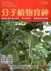 《分子植物育种》