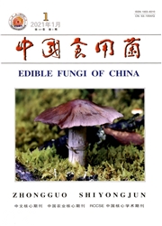 《中国食用菌》