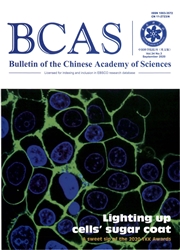 《中国科学院院刊：英文版》