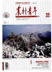 《农村青年》