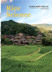 《水稻科学：英文版》