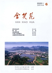 《含笑花》