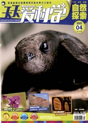 《天天爱科学》