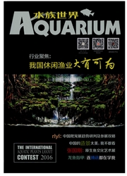《水族世界》