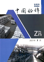 《中国铅锌》