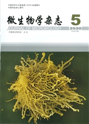 《微生物学杂志》