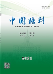 《中国糖料》