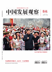 《中国发展观察》