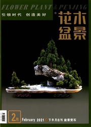 《花木盆景：下半月》