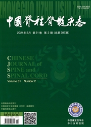 《中国脊柱脊髓杂志》