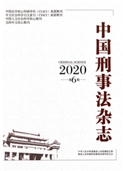 《中国刑事法杂志》