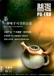 《普洱》