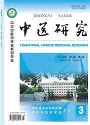 《中医研究》