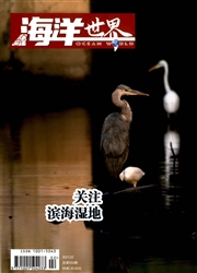 《海洋世界》