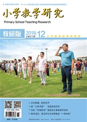 《小学教学研究：教研版》